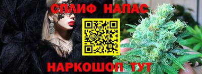 a pvp Кимры
