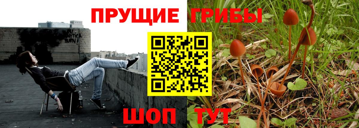 Псилоцибиновые грибы ЛСД Луга