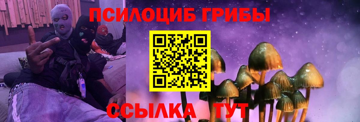 Галлюциногенные грибы Psilocybine cubensis  Галлюциногенные грибы мицелий  Вход с VPN  Луга 